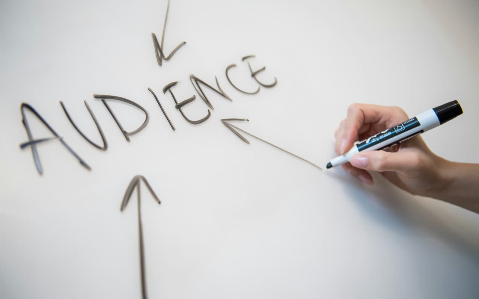 The word AUDIENCE written on a whiteboard with an arrow beneath it